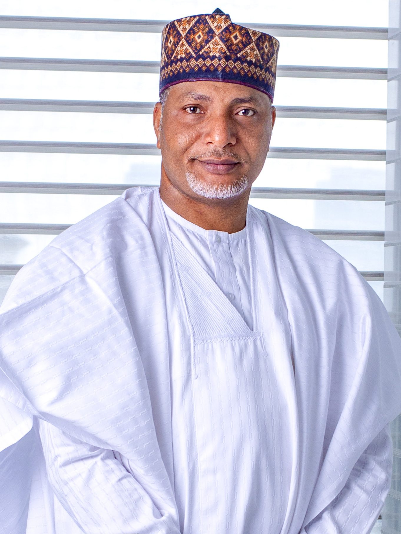 Senator Saliu Mustapha